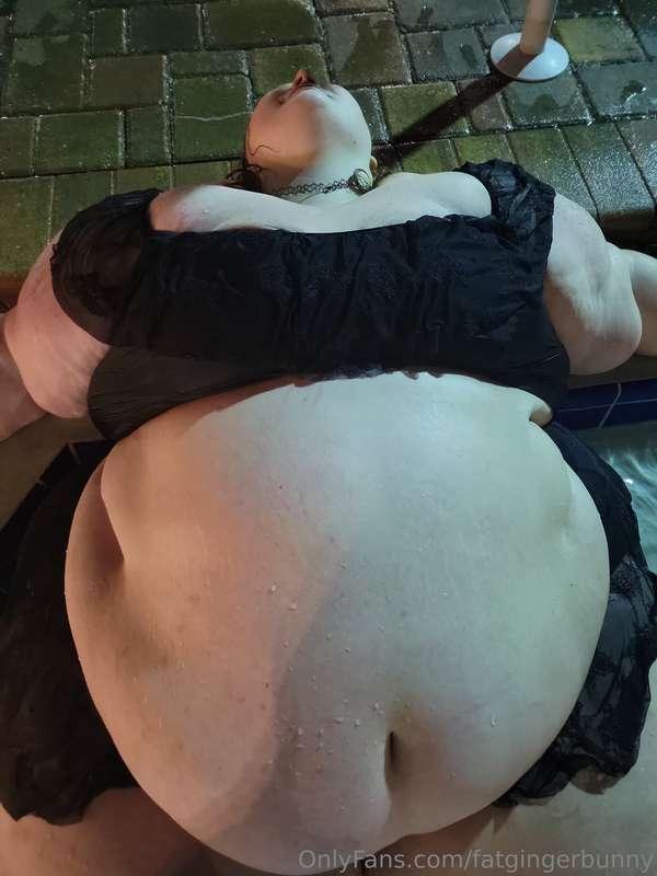fatgingerbunny image #8