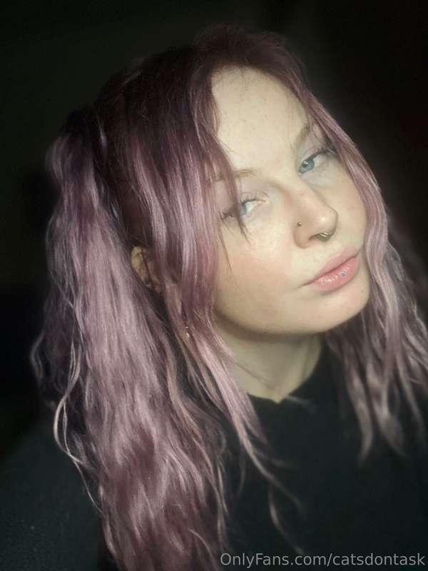 catsdontask image #1