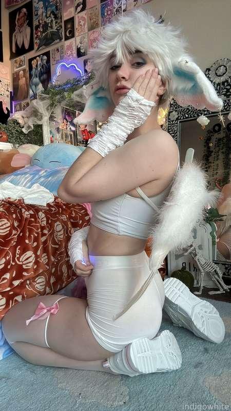 indigowhite image #61