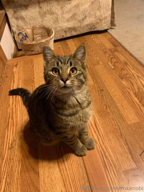 My angel passed away today. He was my best friend and my who..