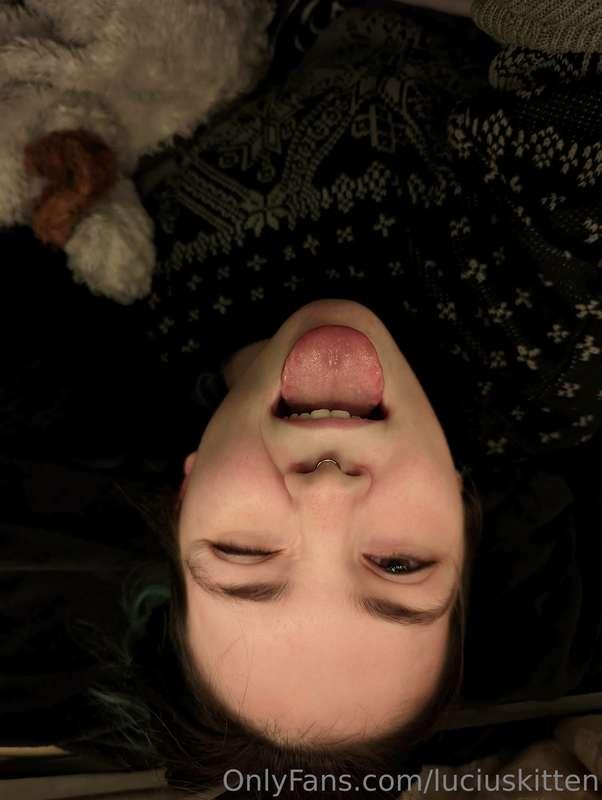 luciuskitten image #0