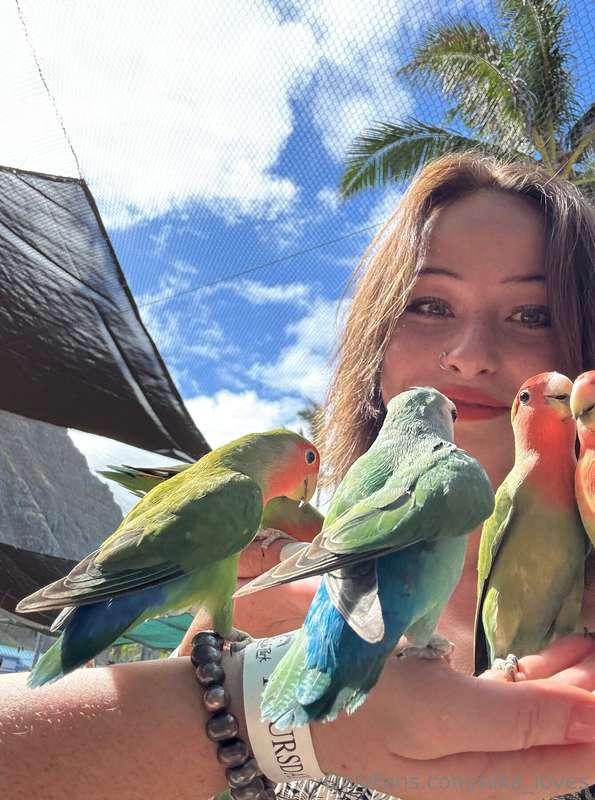 True love is as vibrant and full of life as a parrot’s feath..
