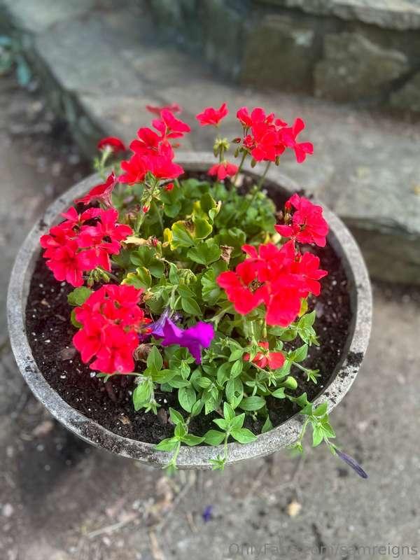 Planted some flowers today! It feels so good outside🌺They ar..