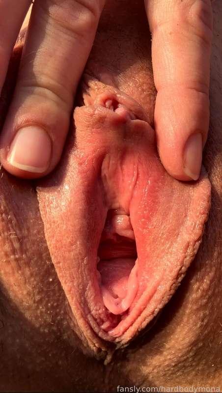 hardbodymona image #0