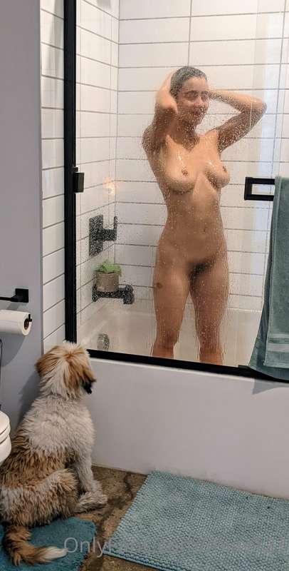 peeping puppy...