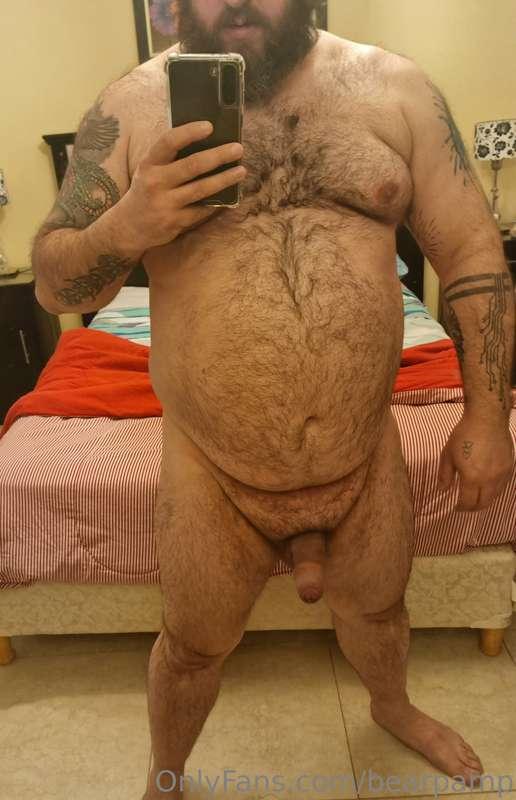 bearpamp image #0