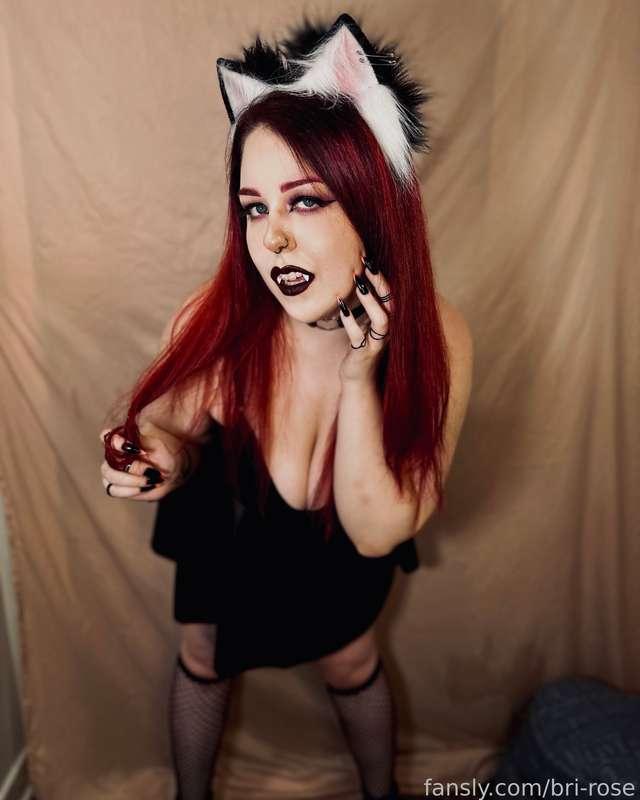 bri-rose image #1