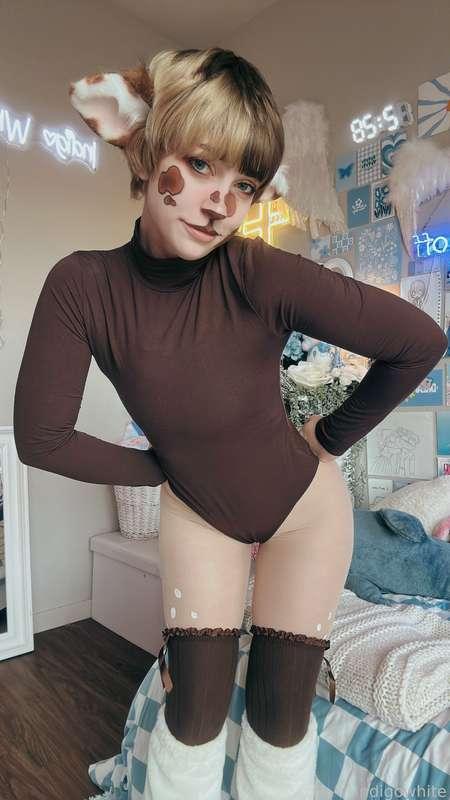 indigowhite image #120