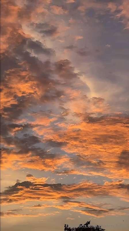 Oh those sunsets, they always look like something, don't the..