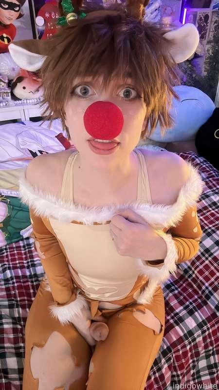 indigowhite image #18