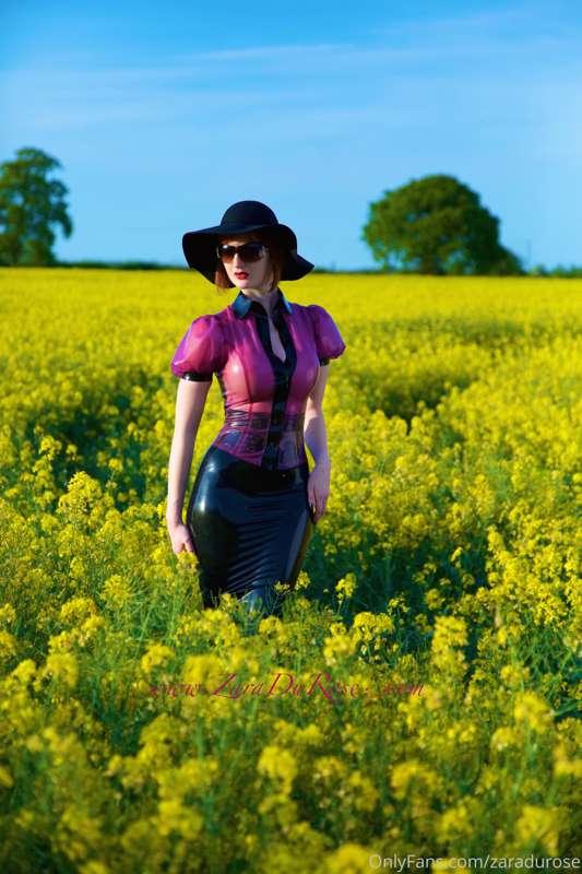 Frolics in the field - 2015!