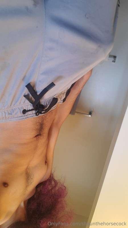 shaunthehorsecock image #0