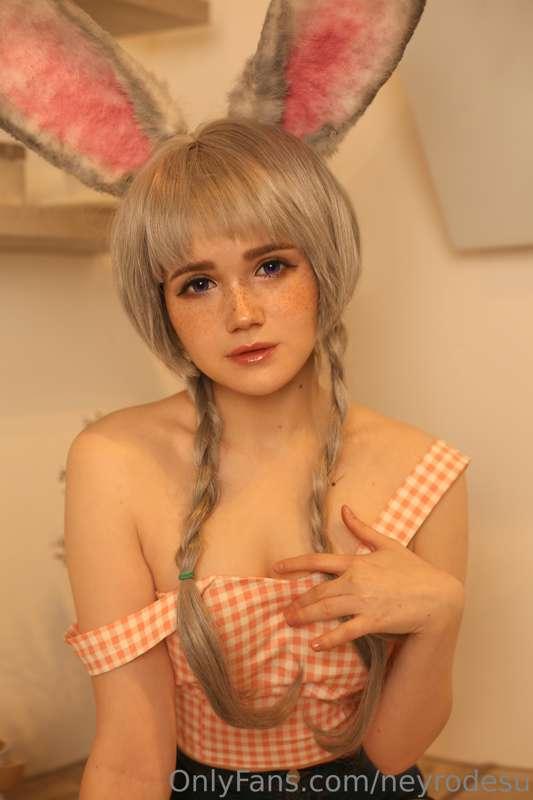 Have you seen my carrot? I've lost it somewhere ／(˃ᆺ˂)＼🥕💦