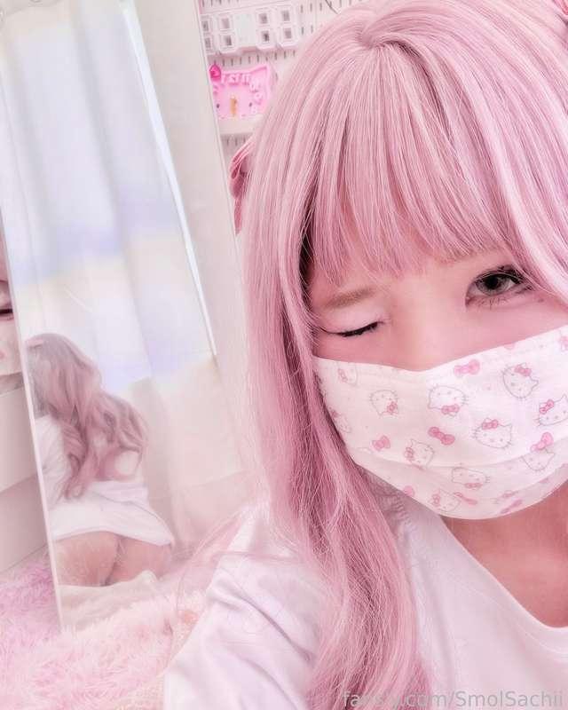 smolsachii image #2