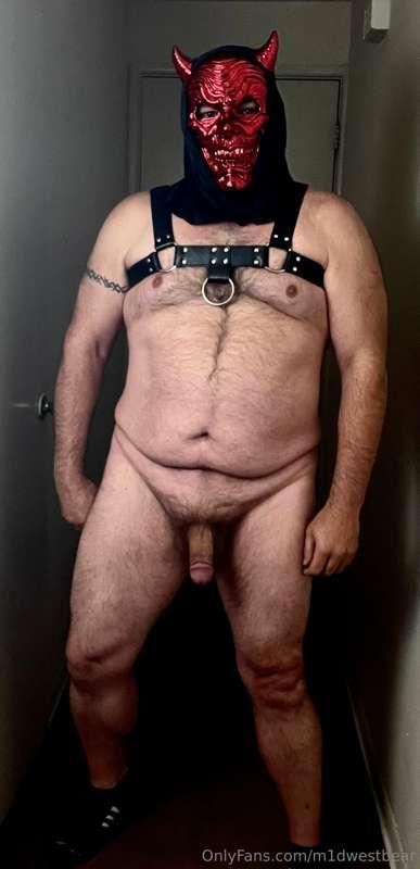 m1dwestbear image #1
