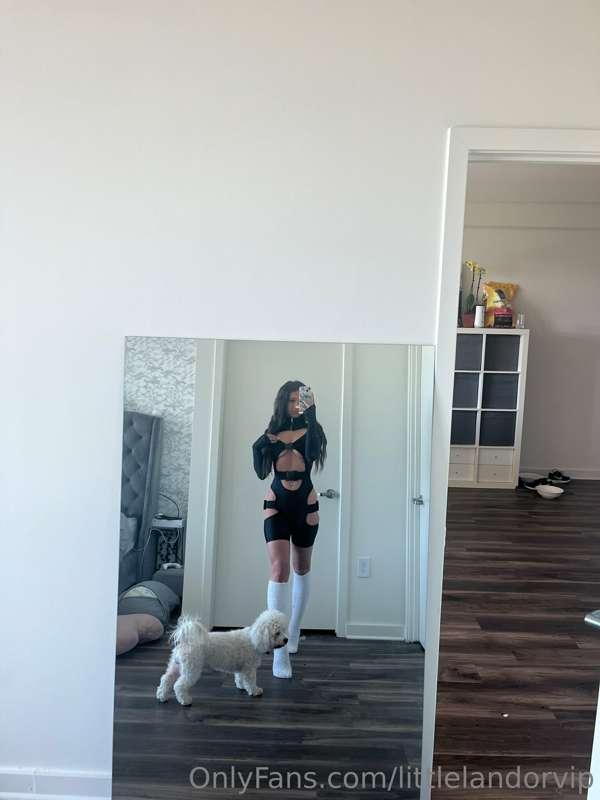 like the fit?
