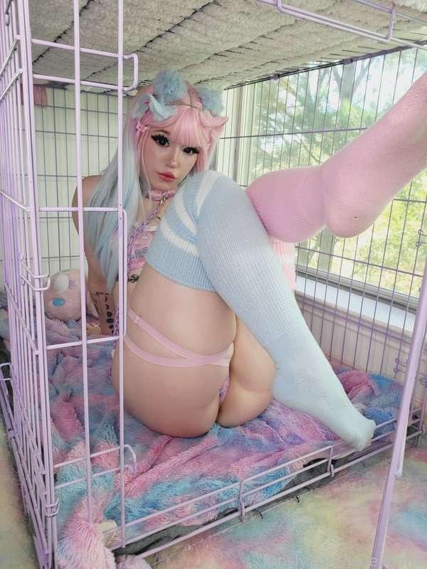 luceilhime image #7