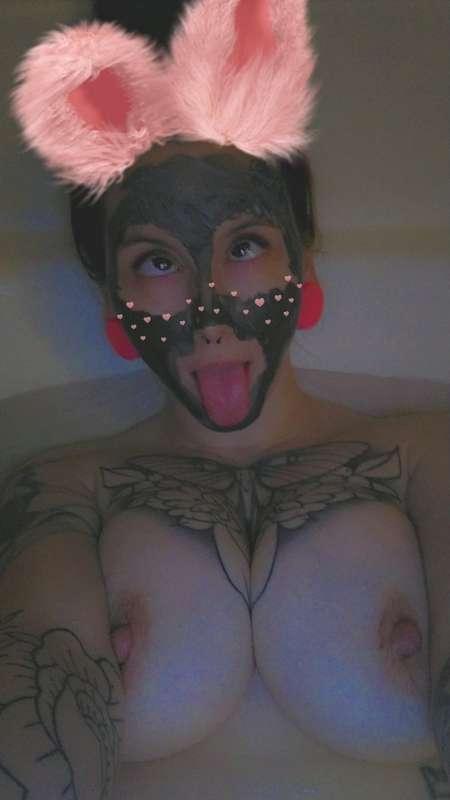 🐰🐰🐰