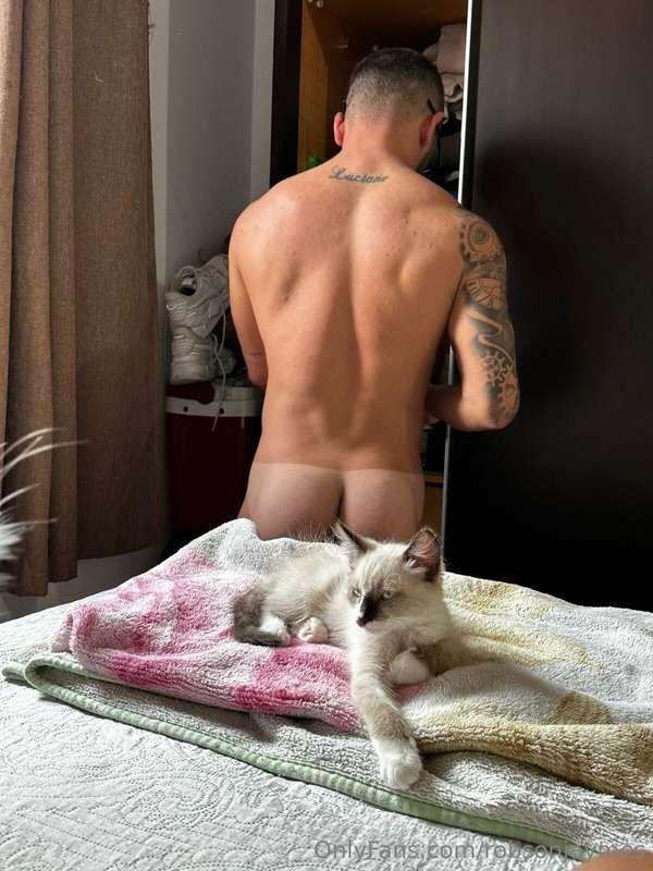 2 cats 😈😈
