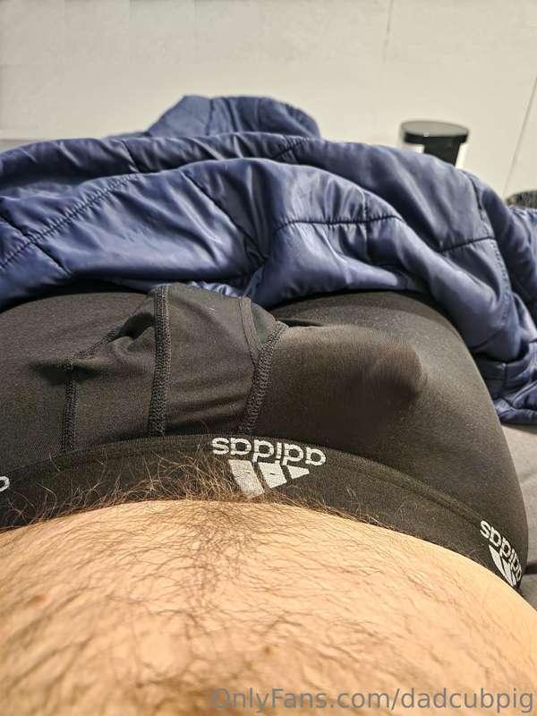 dadcubpig image #1