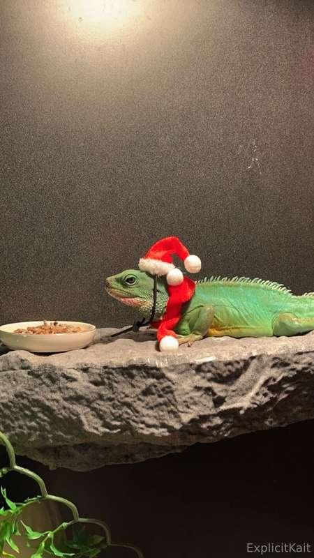 explicitkait image #25