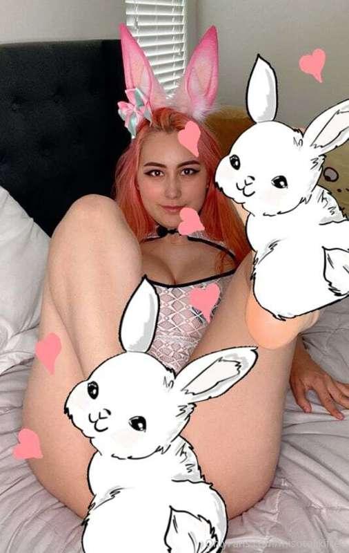 misotokkifree image #1