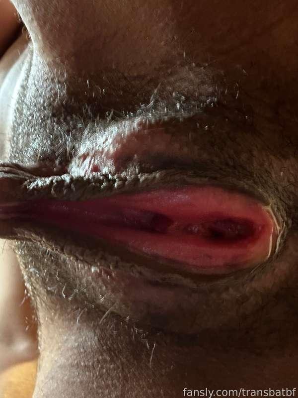 transbatbf image #0