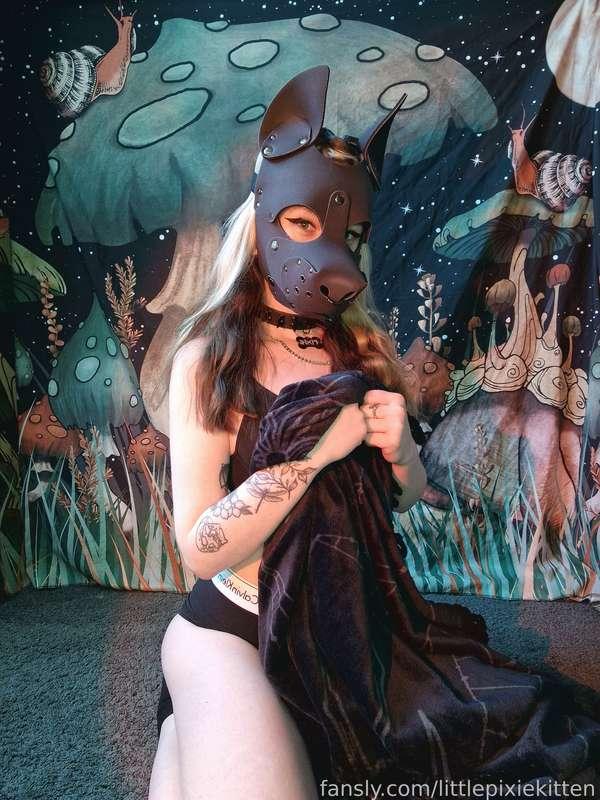 littlepixiekitten image #1