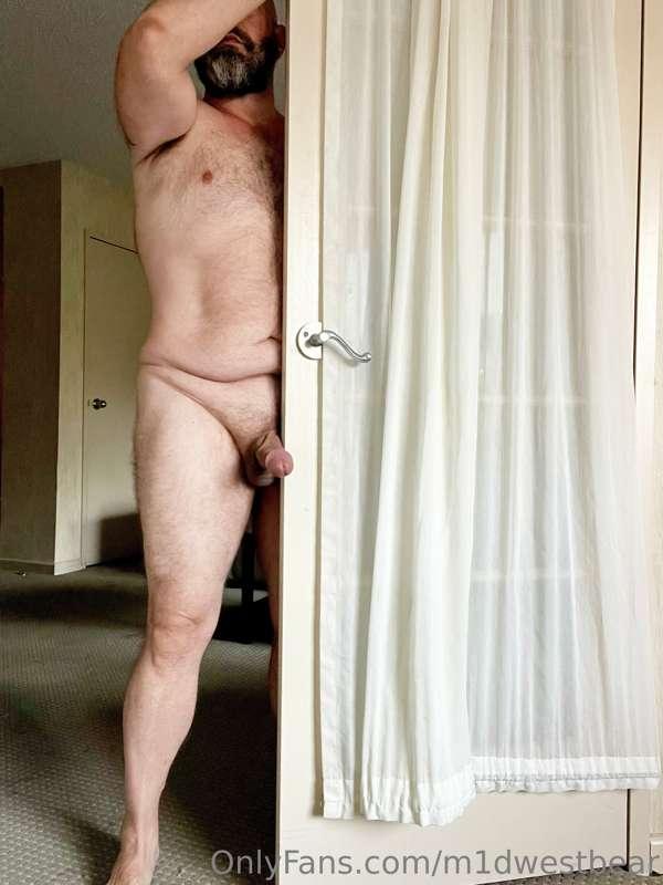 m1dwestbear image #2