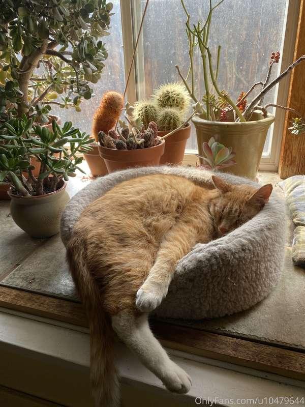 Mornings like this make it tough to get out of bed. Rainy da..