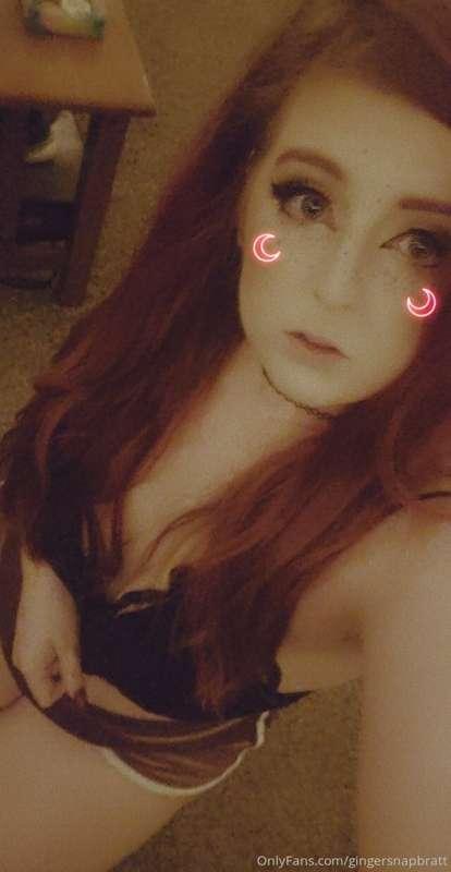 gingersnapbratt image #1