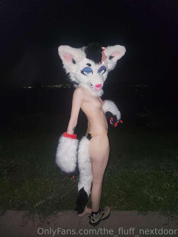 the_fluff_nextdoor image #4