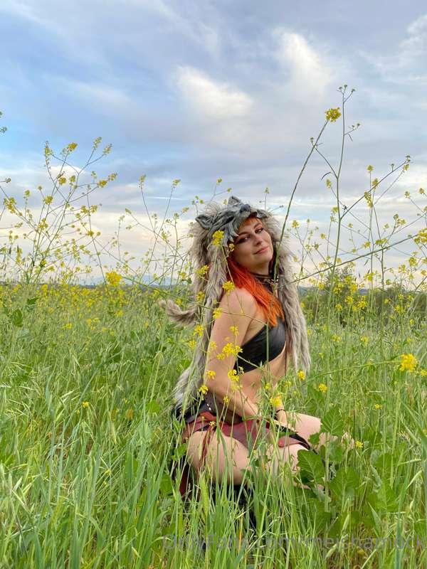 I just wanted to share this cute wasteland wolf mama photo w..