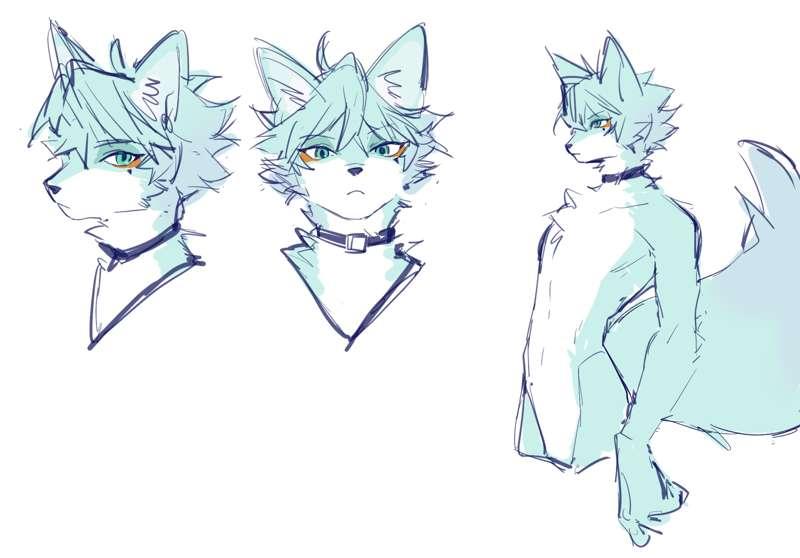 Transfur Shirokari (rkgk)