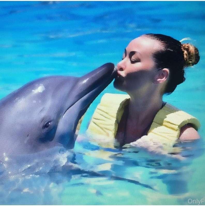 Swimming with dolphins 🐬😁