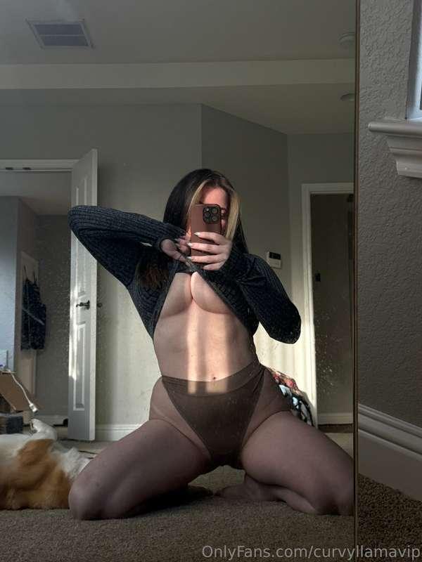curvyllamavip image #0