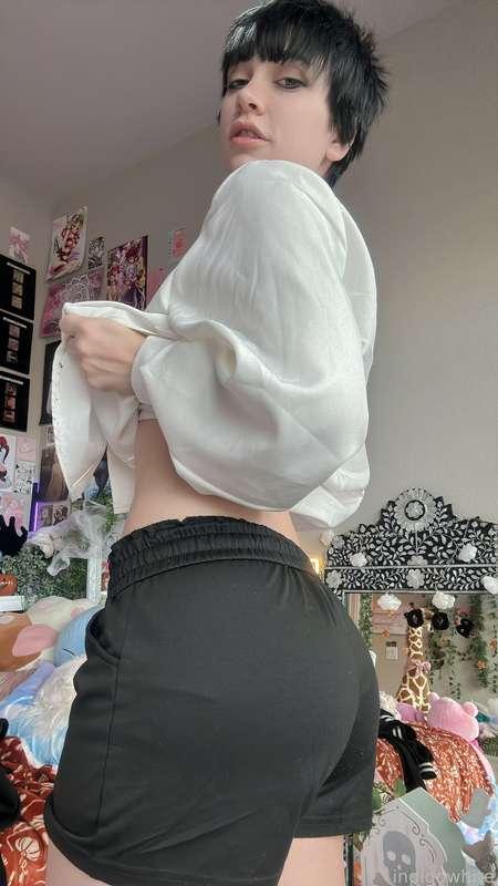 indigowhite image #24