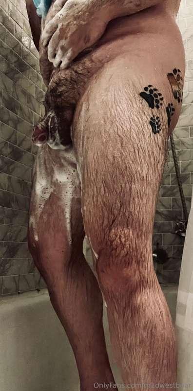 m1dwestbear image #2