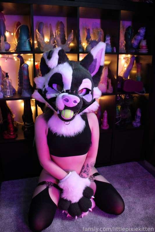 littlepixiekitten image #9