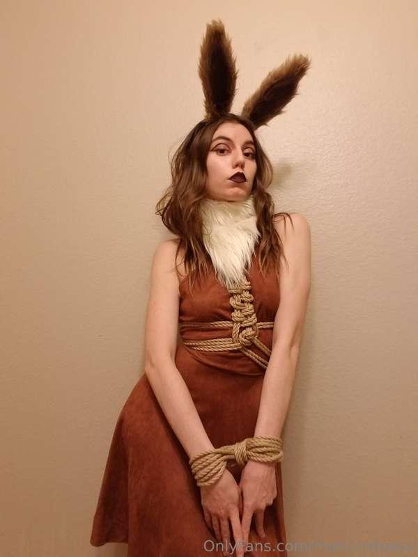 Poké predicaments as Eevee