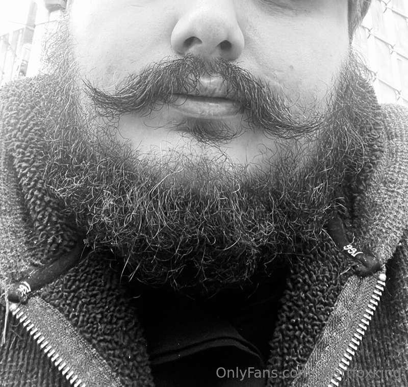 Would you ride my mustache? 😈