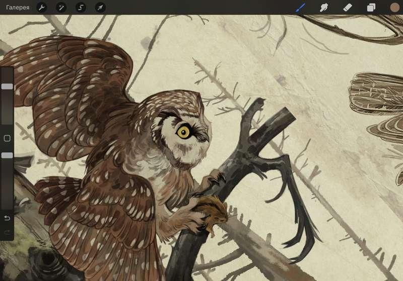 Птицы Леса ARTBOOK — Fragment