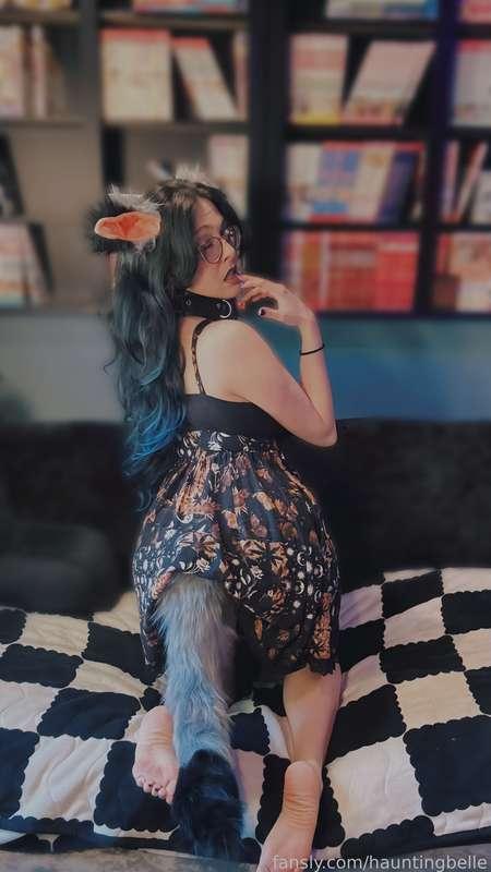 hauntingbelle image #1