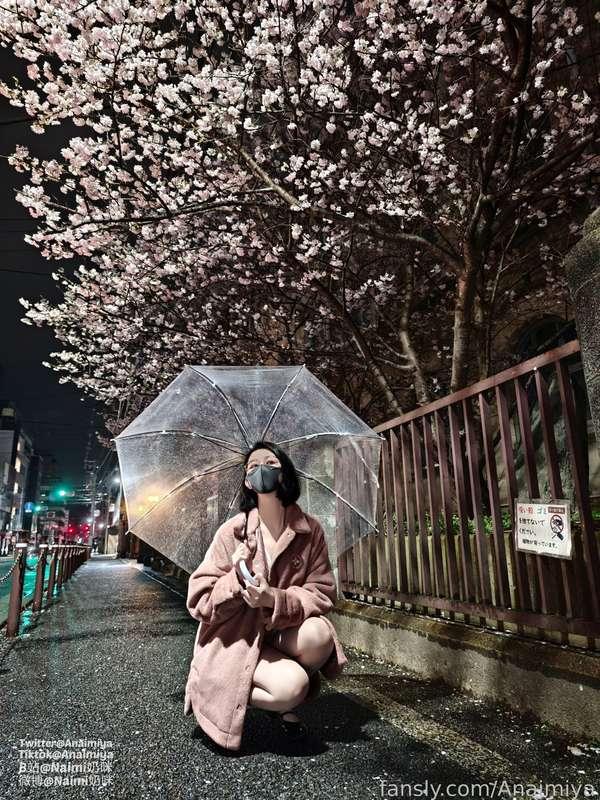 anaimiya image #4