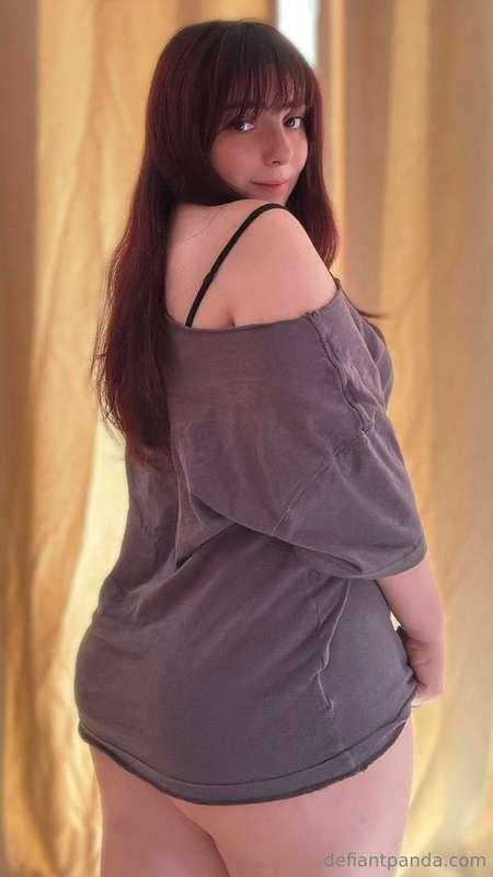 defiantpanda image #0