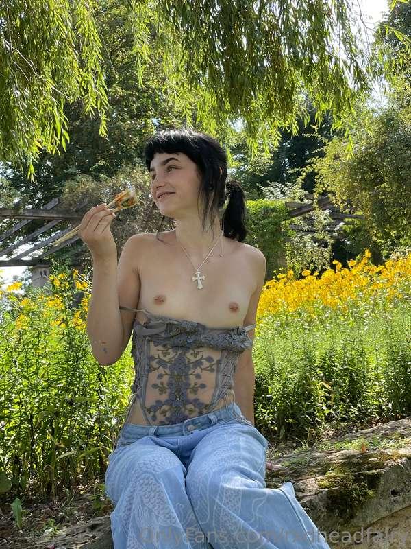 rxdheadfairy image #1