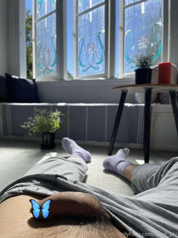 💐Soft cock photos for YOU 🦋💜