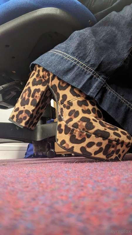 The office is WILD today 
#heels #animalprint #feetpics