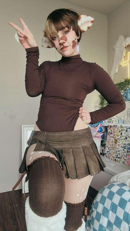 indigowhite image #48