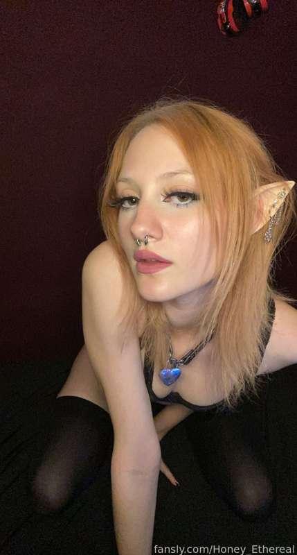 hxney_kitten image #4